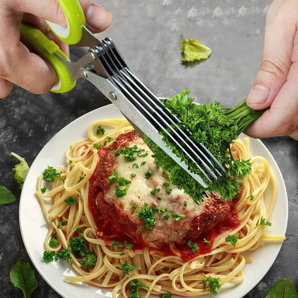 Stainless Steel Multi-Blade Herb Scissors