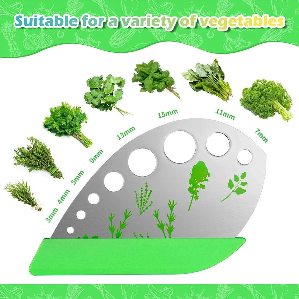 Stainless Steel Multi-Blade Herb Scissors